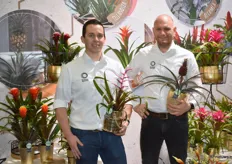 De mannen van de Bromelia Specialist. Jelmer Vink met een Tillandsia Andreas en Marc van Straalen met een Ananas Pacifico.